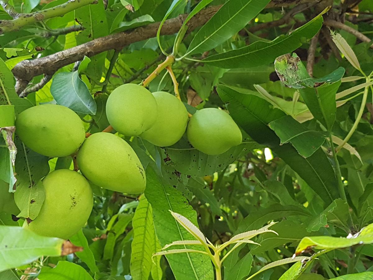 Saipan Family Residence Susupe Ngoại thất bức ảnh